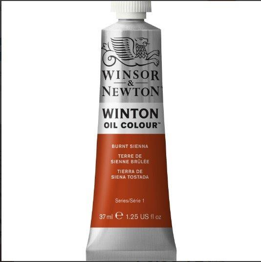 Winton Yağlı Boya 37 ml Burnt Umber 1414076